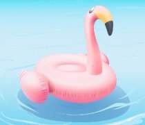 夏季分享 ▏如何區分游泳圈和救生圈