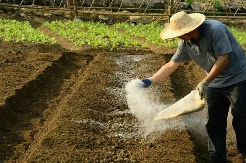 土壤常規檢測45項包含哪些指標?